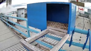 Die Bruthilfe am Kraftwerk Hastedt